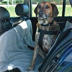 Dog On Tour S�debeskyttelse