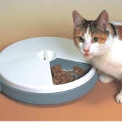 Pet Mate C50 foderautomat til katte og sm� hunde