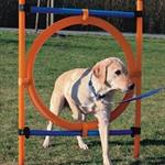 Agility ring