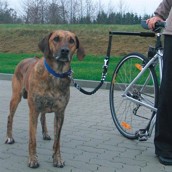 Cykel afstandsholder