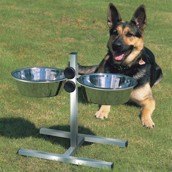 Hundebar med mad- og vandsk�l, justerbar