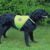 Sikkerhedsvest til hunden
