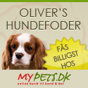 Olivers hundemad