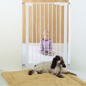 Pressure Premier Gate hundegitter