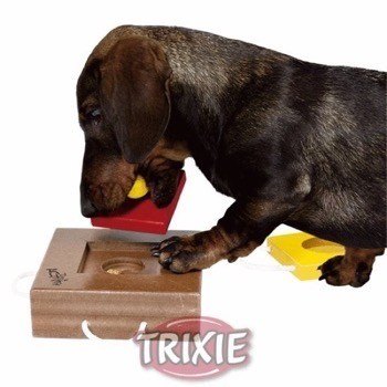 Gamble Box aktivitetsleget�j til mental stimulering