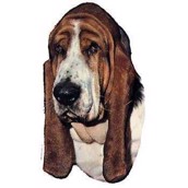 Klisterm�rke, Basset Hund