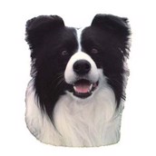 Klisterm�rke, Border Collie