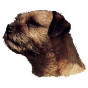 Klisterm�rke, Border Terrier