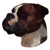 Klisterm�rke, Boxer