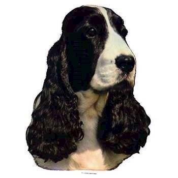 Klistermærke, Engelsk Cocker Spaniel