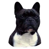 Klisterm�rke, Fransk Bulldog