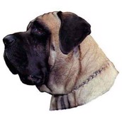 Klisterm�rke, Mastiff