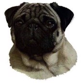 Klisterm�rke, Pug