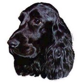 Klisterm�rke, Sort Engelsk Cocker Spaniel