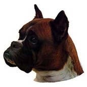 Klisterm�rke, Boxer