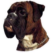 Klisterm�rke, Boxer