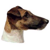 Klisterm�rke, Fox Terrier