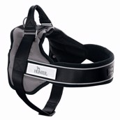 Hunter Ranger Proffesional hundesele, gr�