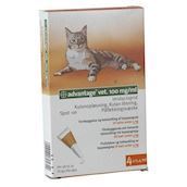 Advantage loppemiddel til katte under 4 kg