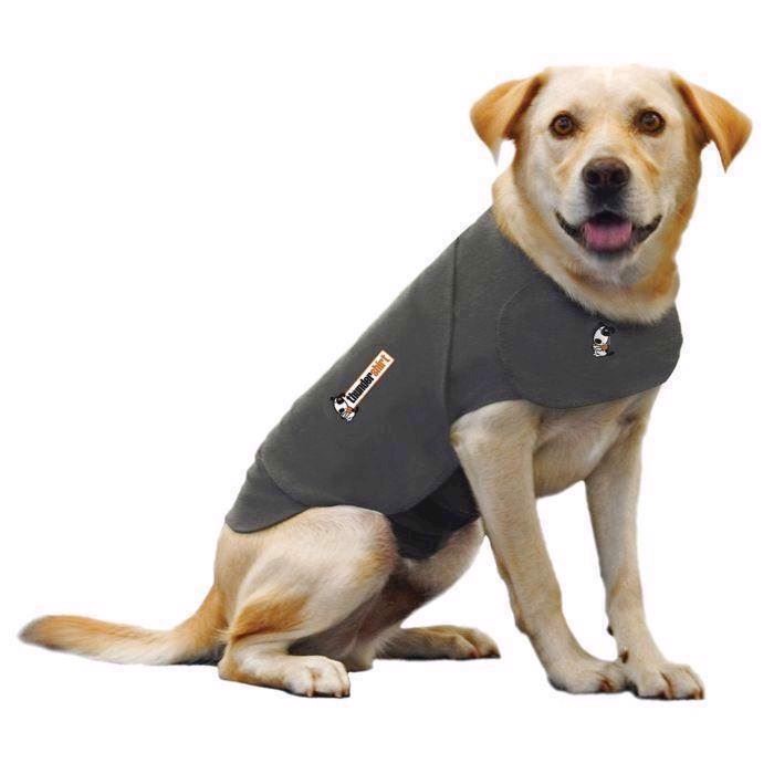 Thundershirt angstdækken til behandling af stressede og angste hunde