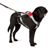 Ruffwear Omnijore Joring system, tr�ksele til din hund