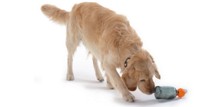 Aktivitetsleget&oslash;j til hunde - til tr&aelig;ning og leg