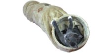 Hyggeposer til katte