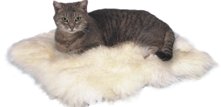 Kattet&aelig;pper - t&aelig;pper til katte