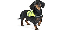 Synlighed i m&aelig;rke - sikkerhedsprodukter til hunde, refleks til hunde