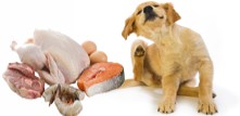 Allergi godbidder til hunde