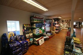 Vores udvalg af hundefoder