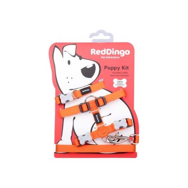 Billede af Red Dingo hvalpesæt, Orange hos MyPets.dk