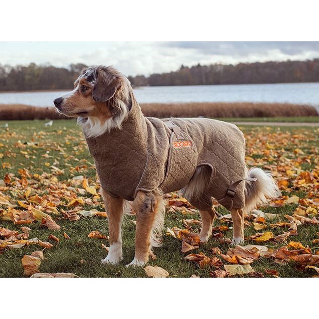 Siccaro Wetdog Solution Elmwood, 70 cm thumbnail