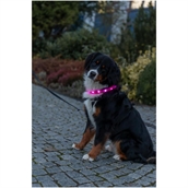 Flash Lysbånd m/USB, L - XL