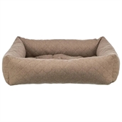Caliente hundeseng, Brun