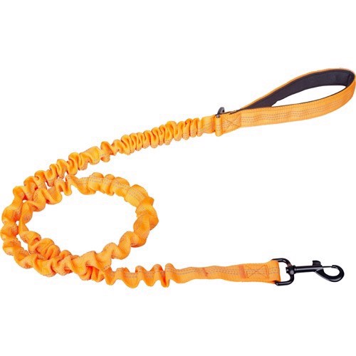 Billede af Companion Elastik hundesnor, Orange, 120 cm