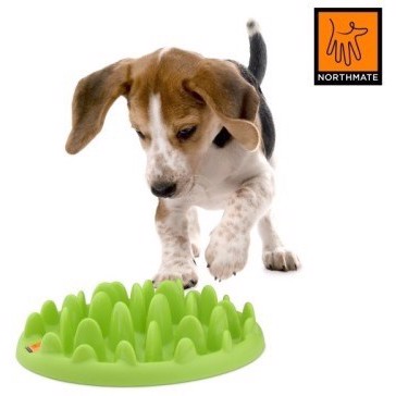 Northmate Green Mini Slow Eater Madskål Green