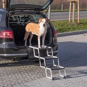 Petwalk foldbar trappe til hunde, 37 x 57 cm