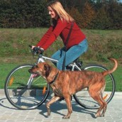 Sele til jogging- og cykeltur med hunden