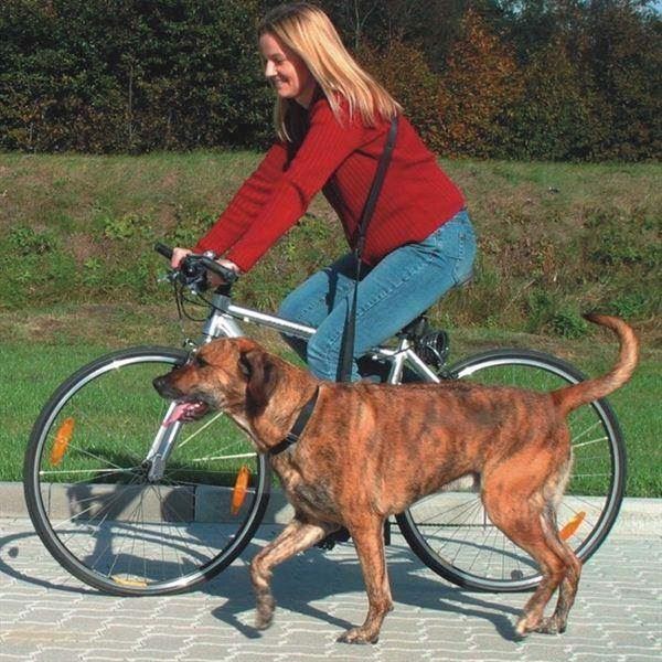 Sele til jogging- og cykeltur med hunden thumbnail