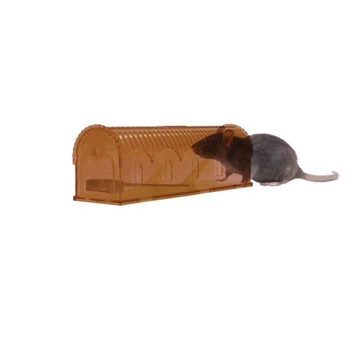 Det indsigelse logo Knock Off Rat Trap Alive - En fælde der fanfer mus og rotter på en  dyrevenlig måde