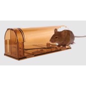 Knock Off Mouse Trap Alive