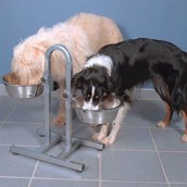 Hundebar med vand- og madskål