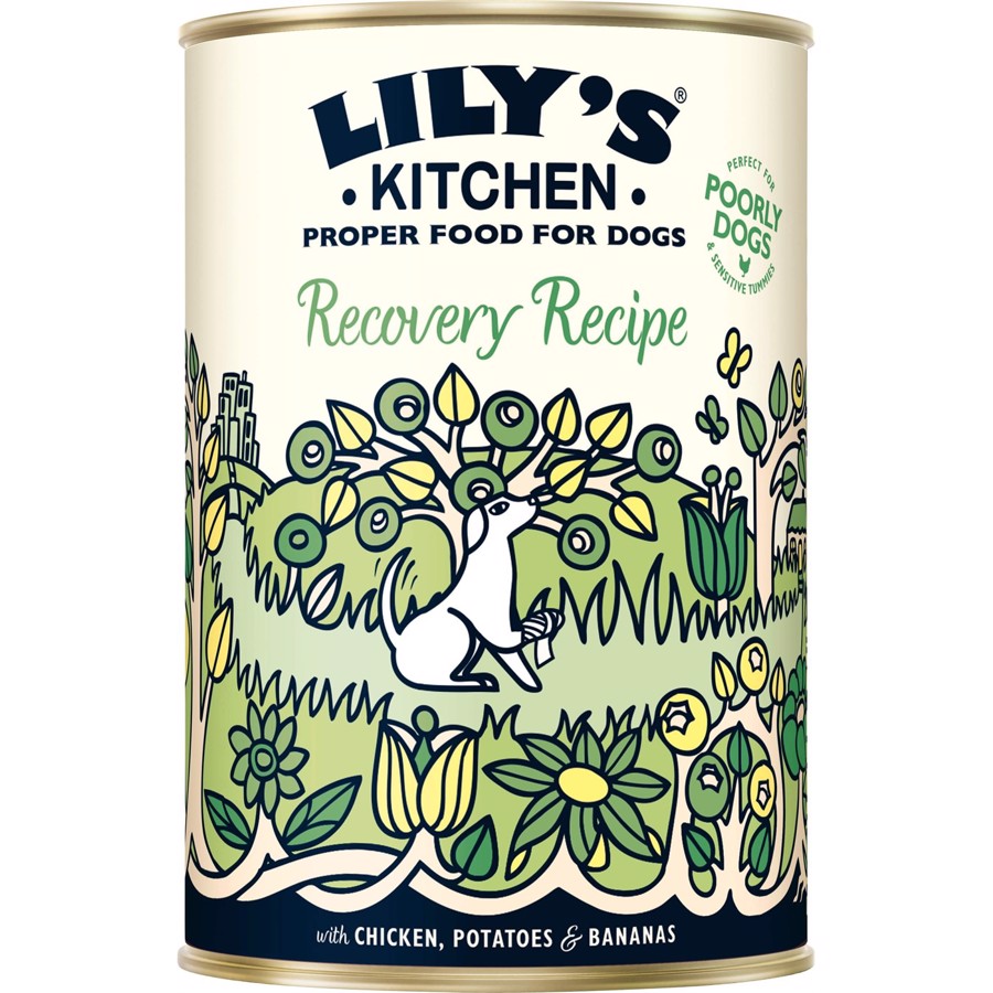 Lilys Kitchen dåsemad Recovery Recipe, 400g