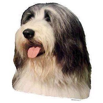 Klistermærke, Bearded Collie thumbnail