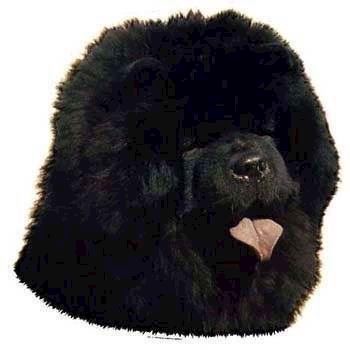 Klistermærke, Chow Chow