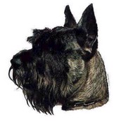 Klistermærke, Miniature Schnauzer