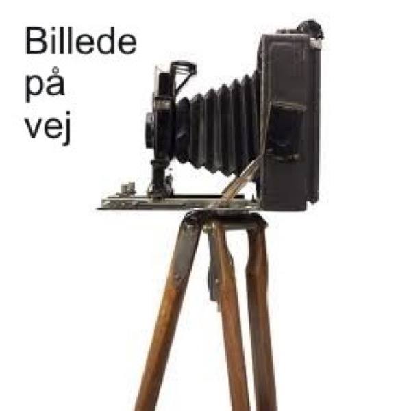 Petmate Kattelem 4-vejs