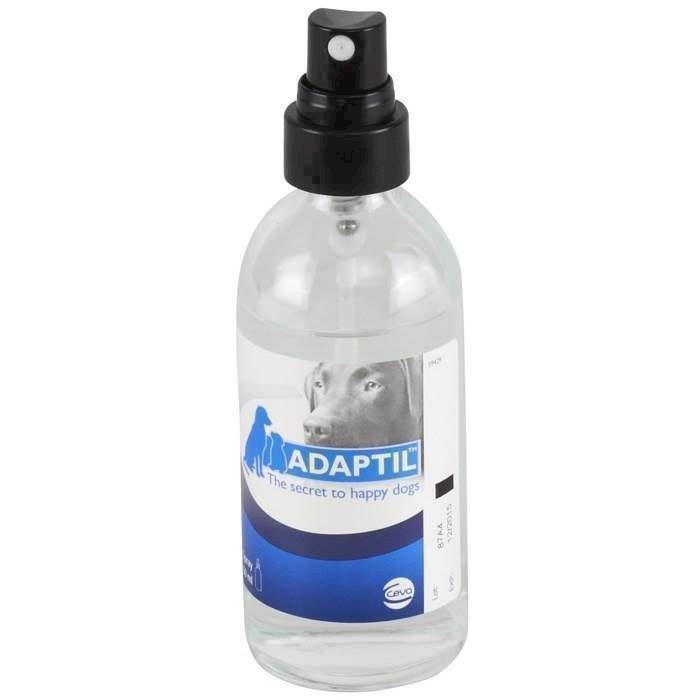 Messing ciffer indvirkning Adaptil DAP beroligende spray til nervøse hunde