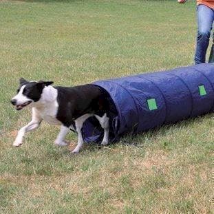 Agility Tunnel Lille, 2 Meter X 40 Cm